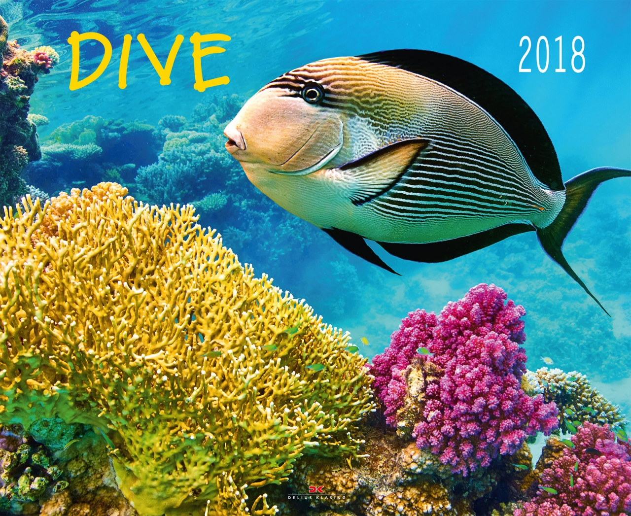DIVE Kalender 2018 - Großformatiger Wandkalender