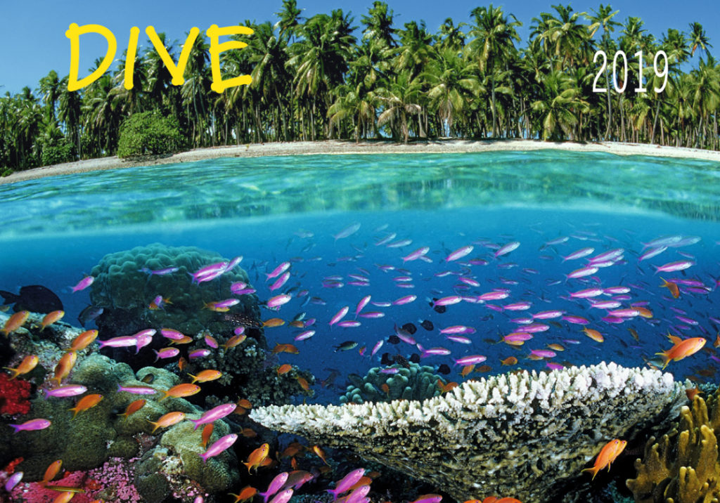DIVE Kalender 2019 - Großformatiger Wandkalender