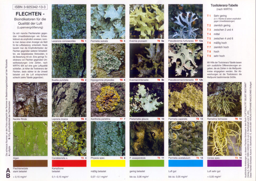 Bestimmungsschlüssel Luftqualität