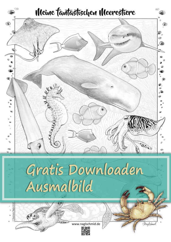 Ausmalbild | Meerestiere